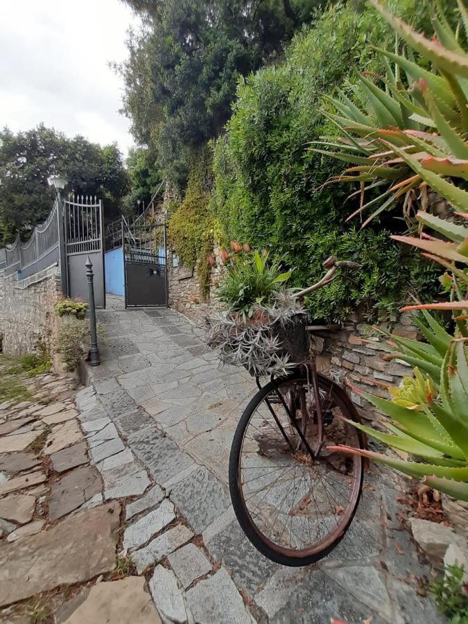 Ca Dell'Acciuga Villa Cervo Exterior photo